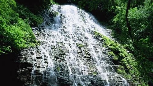 高精度可靠性独特